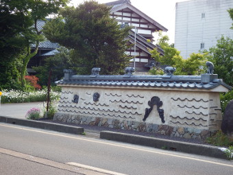 ʐ^g