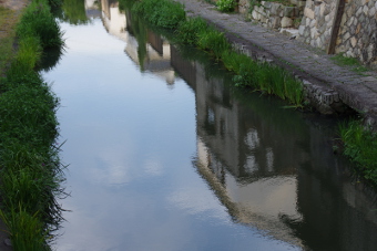写真拡大