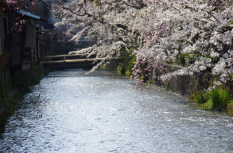 写真拡大