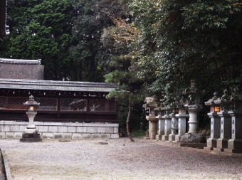 写真拡大