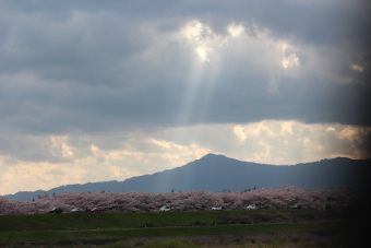 写真拡大