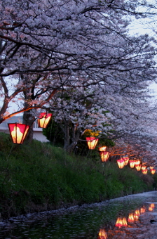 写真拡大