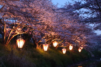 写真拡大