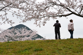 写真拡大