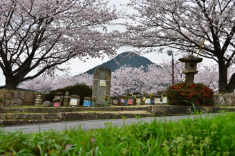 写真拡大