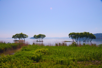 写真拡大