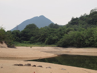 写真拡大