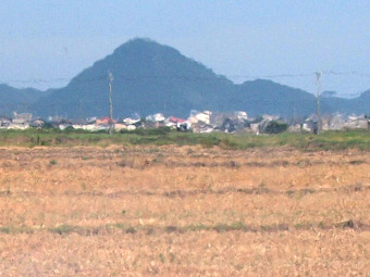 写真拡大