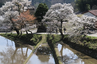 写真拡大