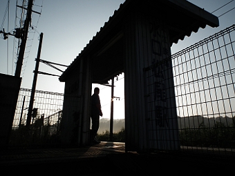 写真拡大