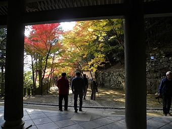 写真拡大