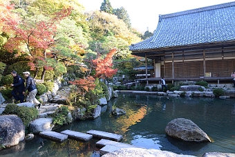 写真拡大