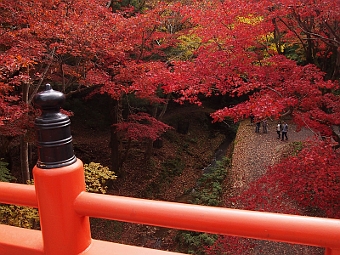 写真拡大