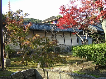 写真拡大