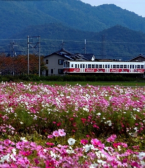 写真拡大