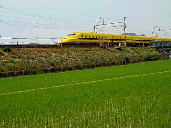 写真拡大