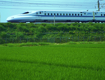 写真拡大