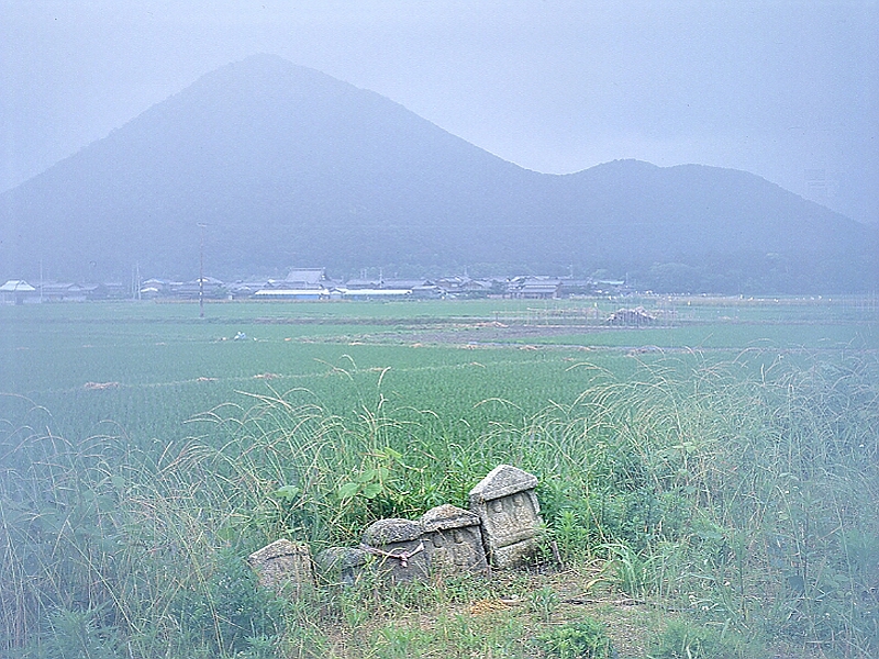 写真拡大