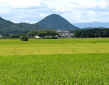クリックすると写真が変わります