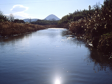 写真拡大