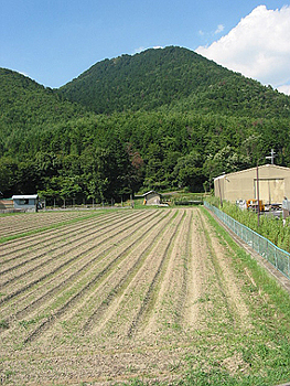 クリックすると写真が変わります