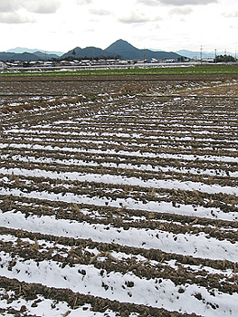 クリックすると写真が変わります