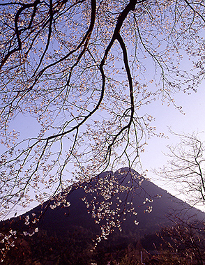 写真拡大
