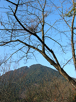 クリックすると写真が変わります
