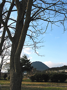 クリックすると写真が変わります