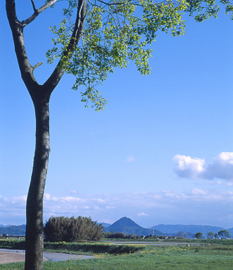 写真拡大