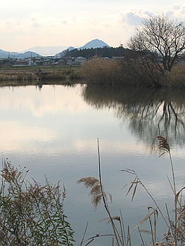 クリックすると写真が変わります