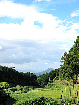 クリックすると写真が変わります
