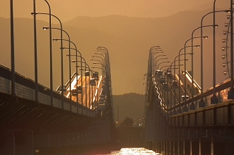 写真拡大