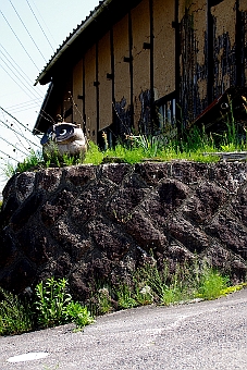 写真拡大