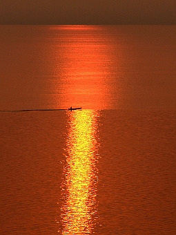 写真拡大
