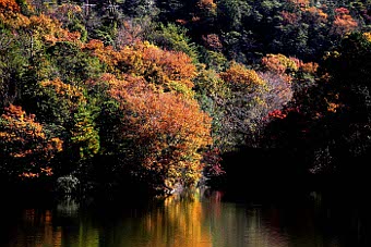 写真拡大