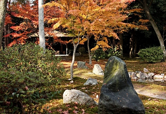 写真拡大