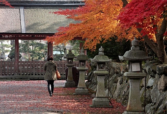 写真拡大