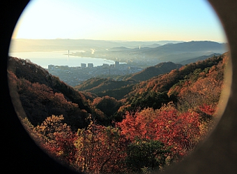 写真拡大