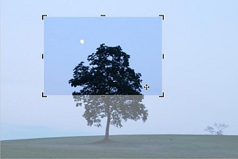 ʐ^g