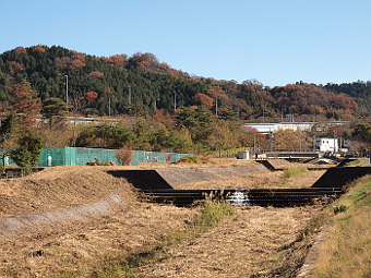 写真拡大