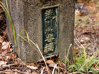 写真拡大