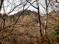 写真拡大