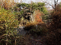 写真拡大