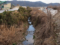 写真拡大