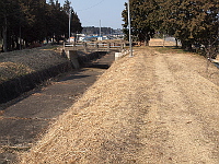写真拡大