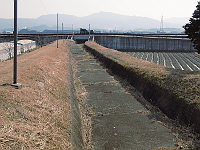 写真拡大