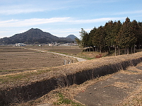 写真拡大