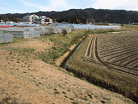 写真拡大