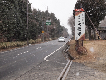 写真拡大